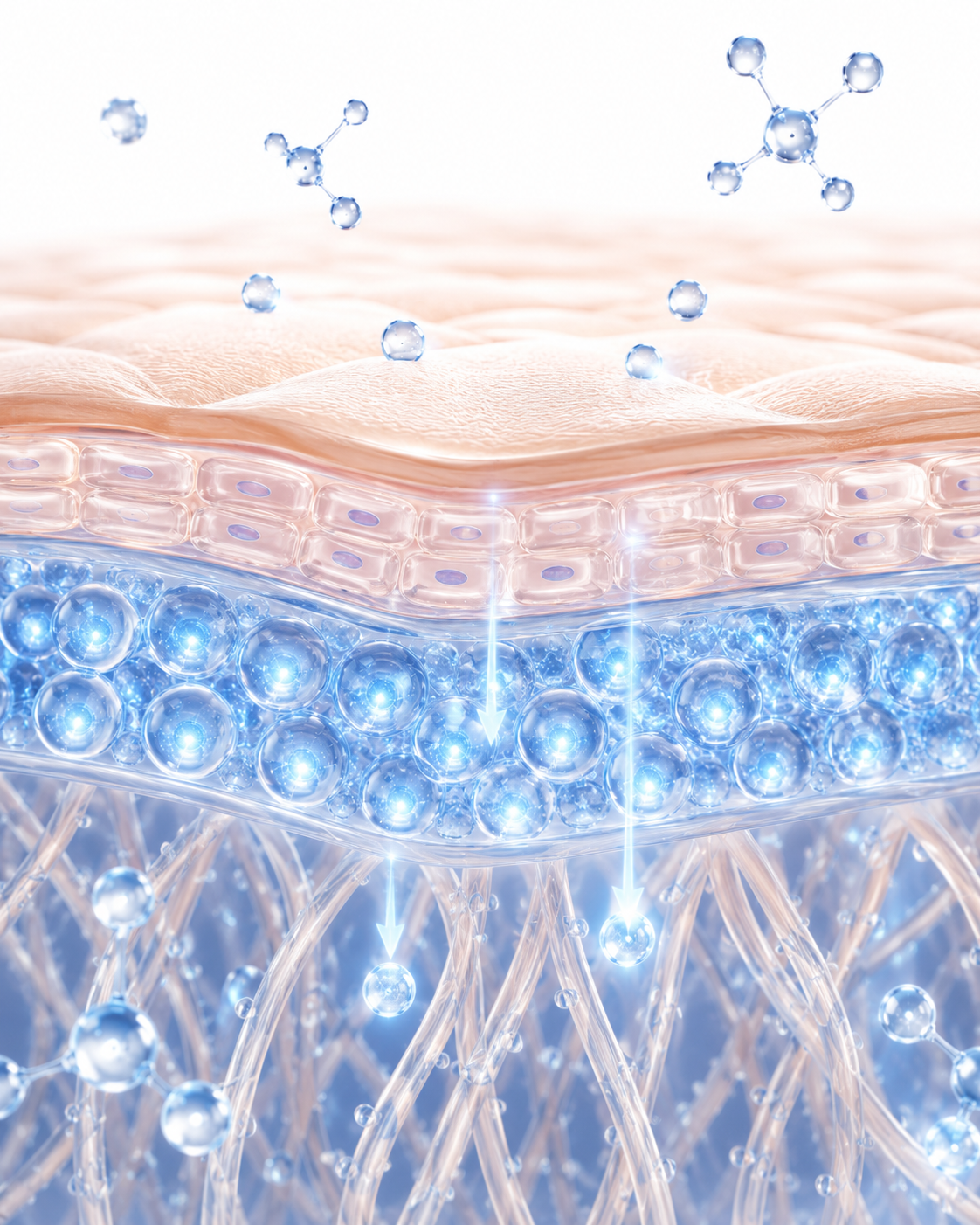 Aging Starts at the Cellular Level